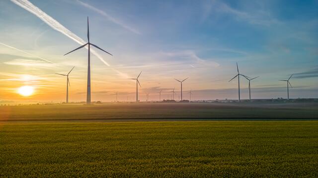 Motiv 4: Windpark bei Herxheim/Landau | Foto: Georg Beck