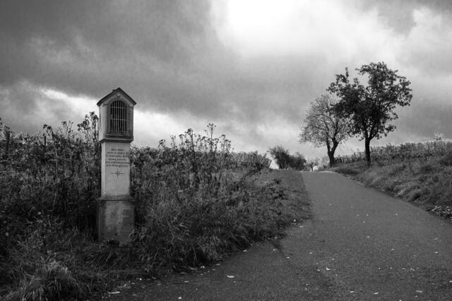 Motiv 5: Feldkreuz in den Weinbergen oberhalb von Maikammer | Foto: Matthias Rabe