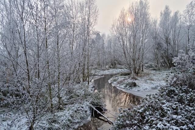Motiv 8: Der Eisbach zwischen Obrigheim und Offstein | Foto: Christoph Beyer