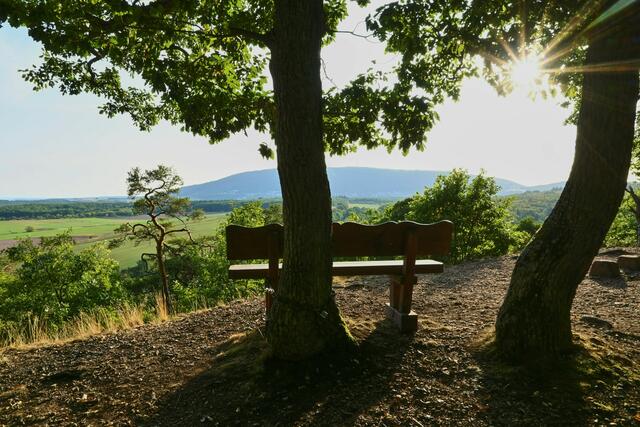 Motiv 1: "Schöne Aussicht" mit Donnersbergblick versteckt im Wald bei Kirchheimbolanden | Foto: Florian Bauer