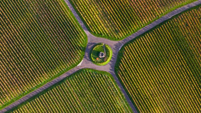 Motiv 3: Winzerturm bei Hochstadt | Foto: Georg Beck