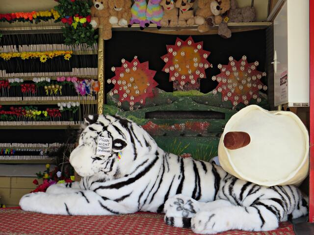 Imposanter Tiger | Foto: Brigitte Melder