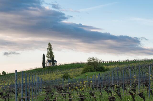 Motiv 6: Sonnentempel zwischen Maikammer und Edenkoben | Foto: Matthias Rabe