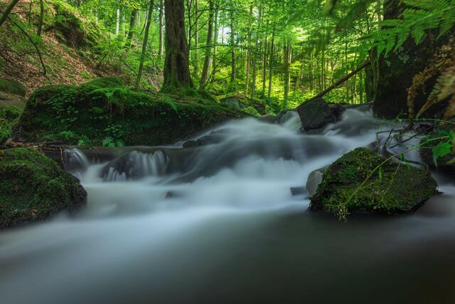 Motiv 9: Karlstalschlucht | Foto: Thorsten Hetterich