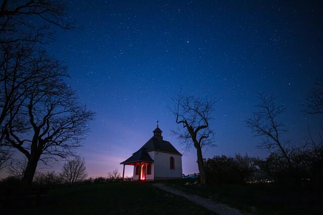 Motiv 10: Kleine Kalmit bei Ilbesheim | Foto: Georg Beck