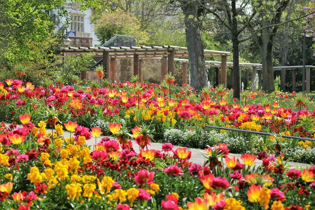 Motiv 4: Floraler Schatz im Kurpark Bad Dürkheim | Foto: Maike Müller