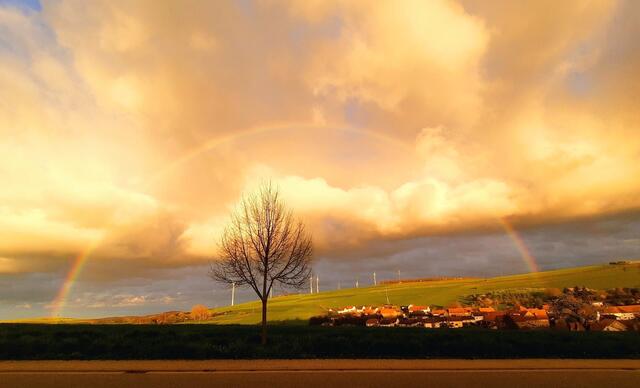 Motiv 7: Regenbogen Becherbach/Pfalz | Foto: Vanessa Masternak