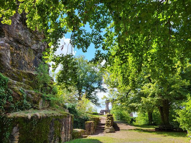 Motiv 8: Natur auf der Burg Falkenstein | Foto: Judith Trautmann