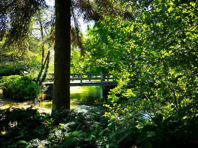 Motiv 4: Park in Eppenbrunn im Juli | Foto: Eveline Brill