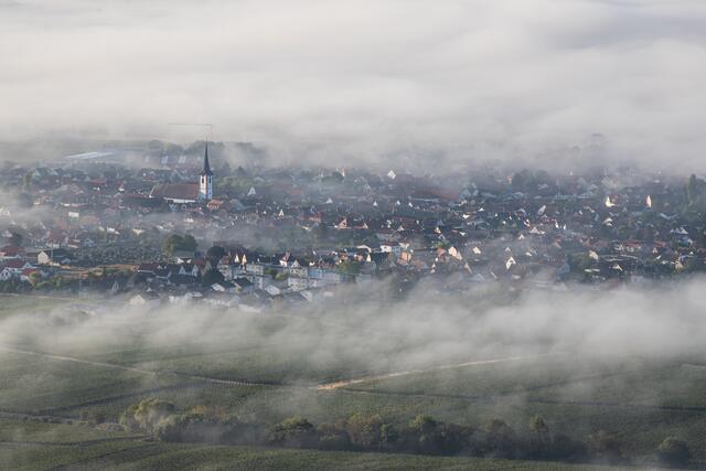 Motiv 6: Maikammer verschleiert durch Nebel | Foto: Georg Beck