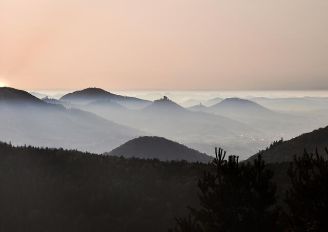 Motiv 1: Trifelsblick bei Sonnenuntergang & Nebel von der Trifelsblickhütte bei Gleisweiler im Oktober | Foto: Fabienne Müller