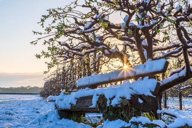 Motiv 9: Wintereinbruch im April! Bank bei Geinsheim | Foto: Georg Beck