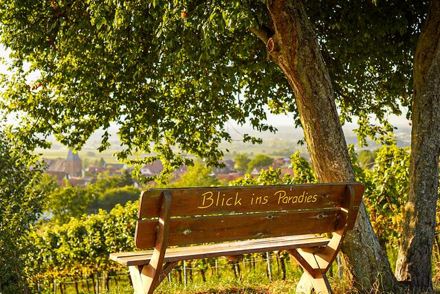 Motiv 4: Blick ins Paradies | Foto: E. Wagner