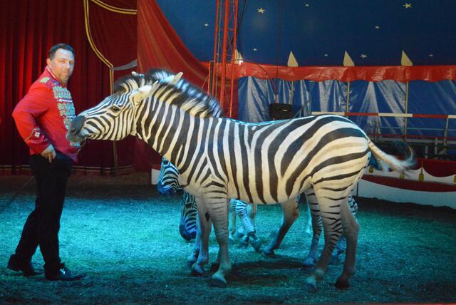 Foto: Circus Rolina