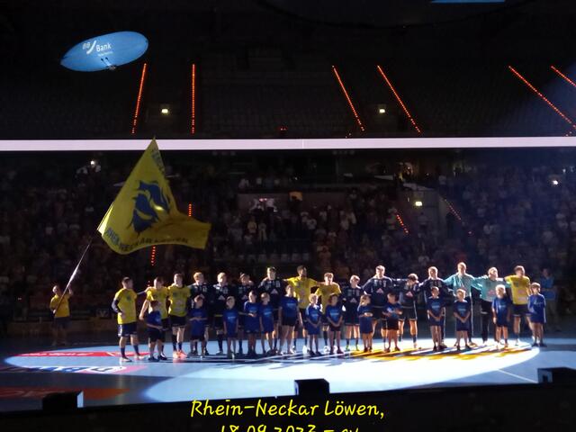 Rhein-Neckar Löwen | Foto: Carsta Vogel