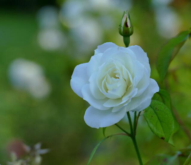 Zoo Karlsruhe  | Foto: Marlene Deck