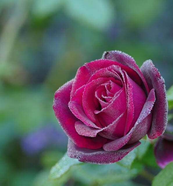 Zoo Karlsruhe | Foto: Marlene Deck