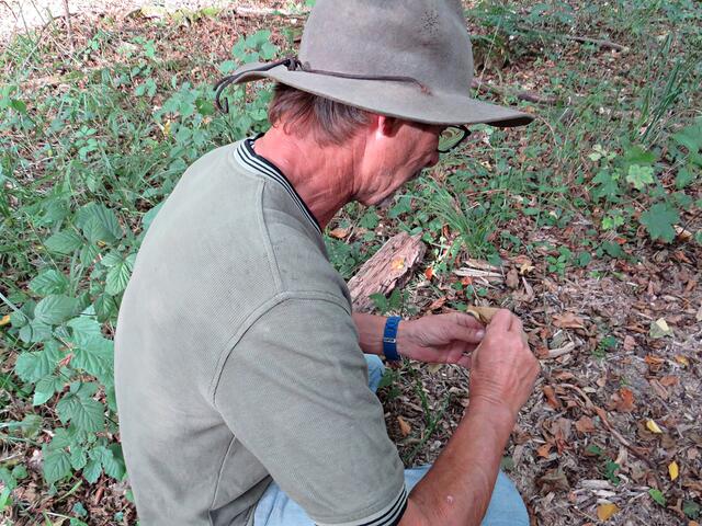Der erste Find: Rußgrauer Täubling | Foto: Brigitte Melder