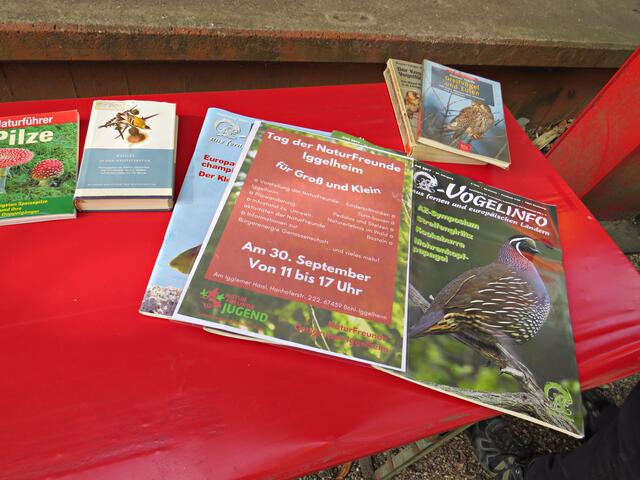 Allerlei Auslage über die Natur | Foto: Brigitte Melder