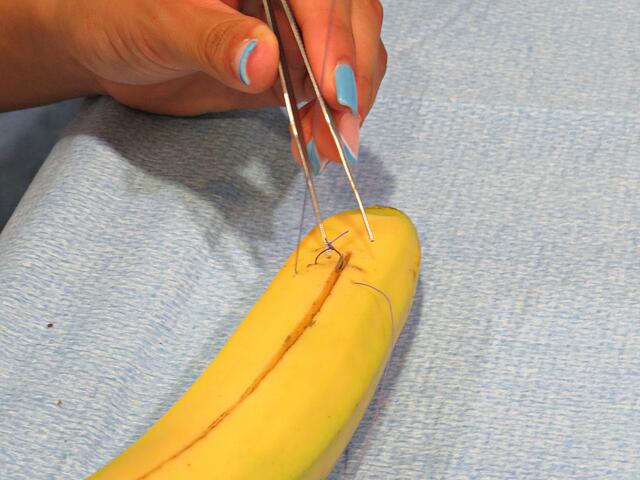 Fingerspitzengefühl gefragt | Foto: Brigitte Melder
