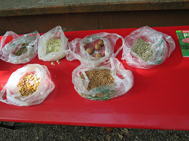 Verschiedene Futtersorten | Foto: Brigitte Melder