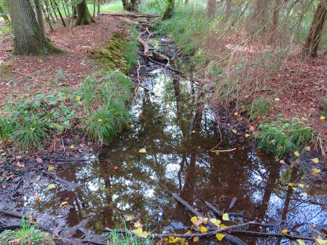 Überall wenig Wasser | Foto: Brigitte Melder