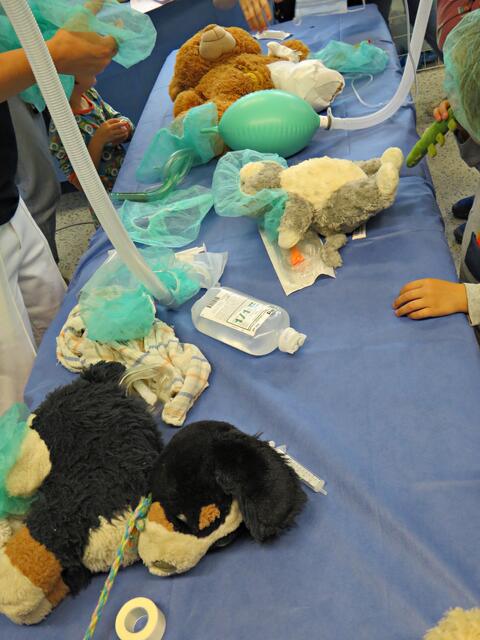 Ohje, so viele Patienten? | Foto: Brigitte Melder