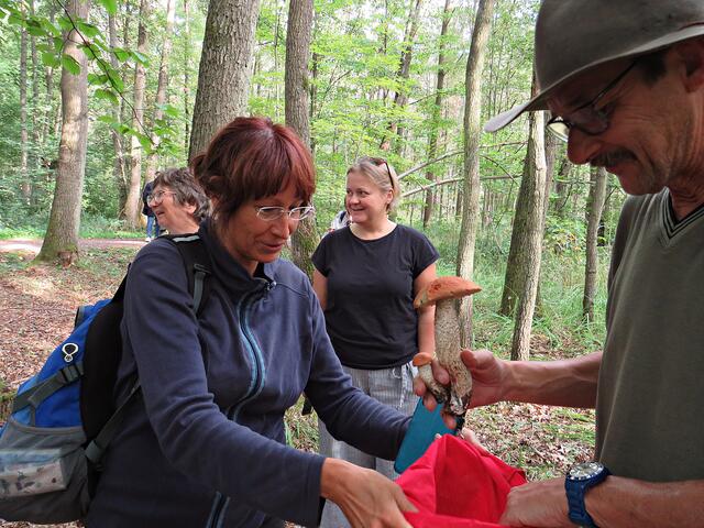 Für eine Person reichen die Pilze | Foto: Brigitte Melder