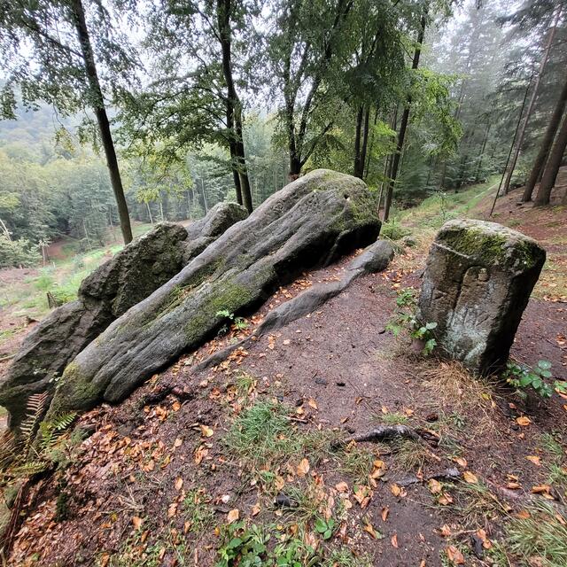 Hohen Fels | Foto: Markus Pacher