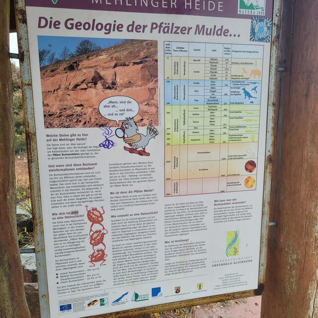 Zahlreiche Informationstafeln begleiten den Hochfelsweg, der zum Schluss über die Mehlinger Heide führt | Foto: Markus Pacher