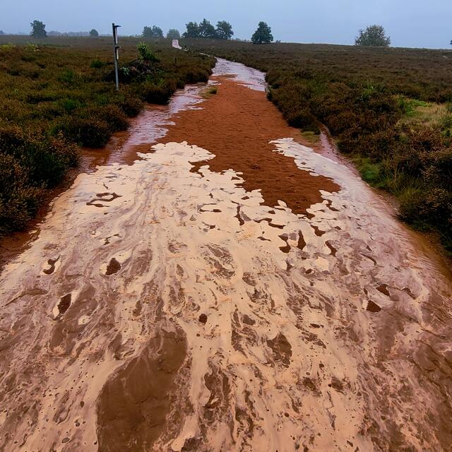 Mehlinger Heide | Foto: Markus Pacher