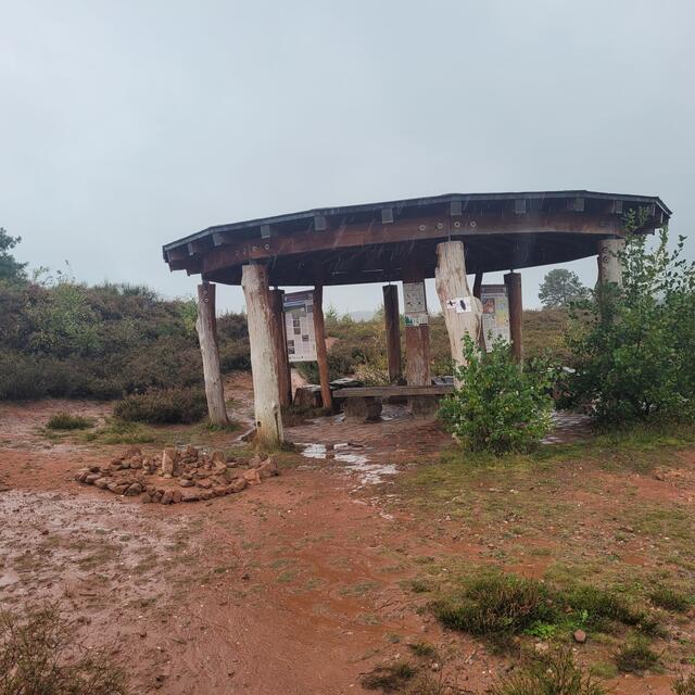 Mehlinger Heide | Foto: Markus Pacher