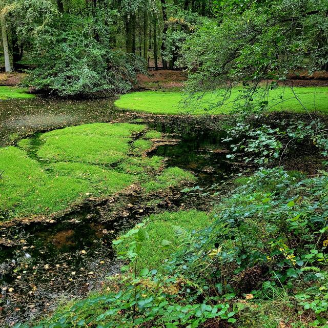 Hochfelsweg | Foto: Markus Pacher