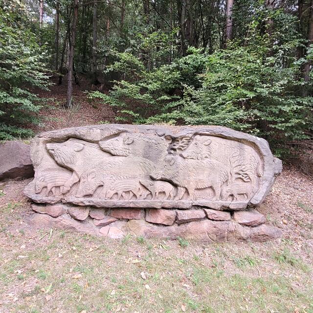 Wildschweinrelief am Hochfelsweg | Foto: Markus Pacher