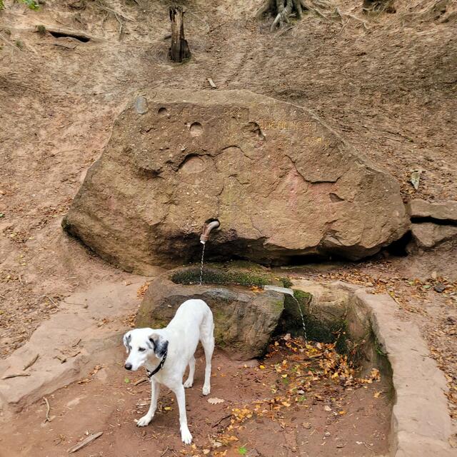 Hochfelsweg | Foto: Markus Pacher
