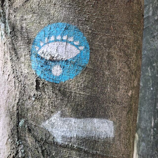 Nicht zu übersehen: Die Markierung des Wegenetzes "Rätselhafte Zeitzeichen" am Hochfelsweg  | Foto: Markus Pacher