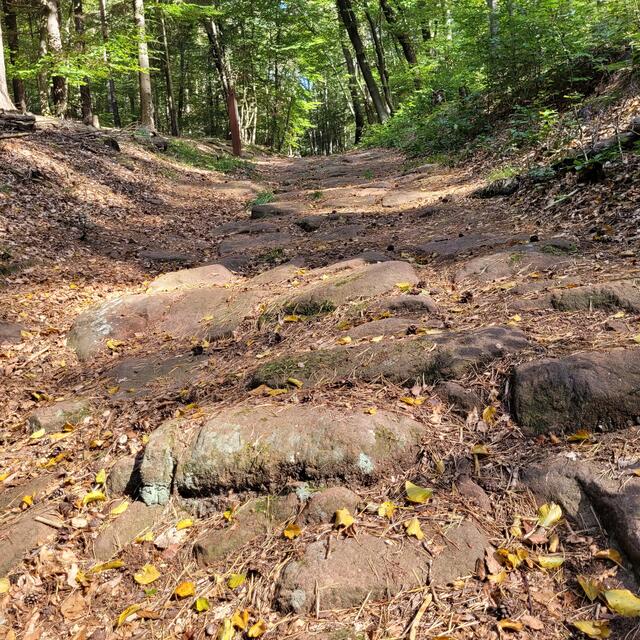 Steinallee aus vorrömischer Zeit | Foto: Markus Pacher