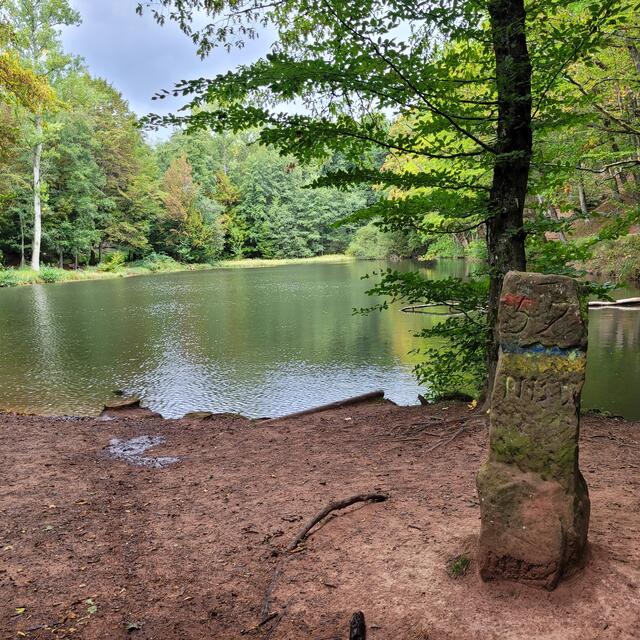 Hochfelsweg | Foto: Markus Pacher