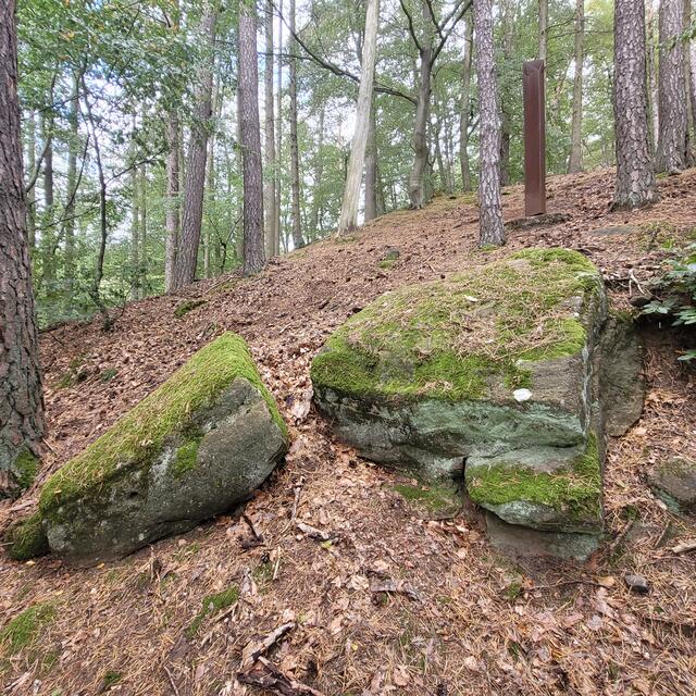 Menhir | Foto: Markus Pacher