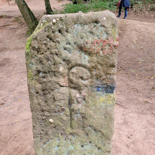 Hochfelsweg | Foto: Markus Pacher