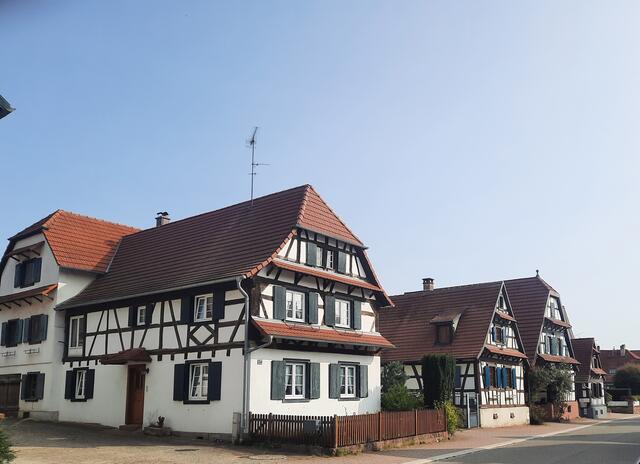 Betschdorf  | Foto: Kristin Hätterich 