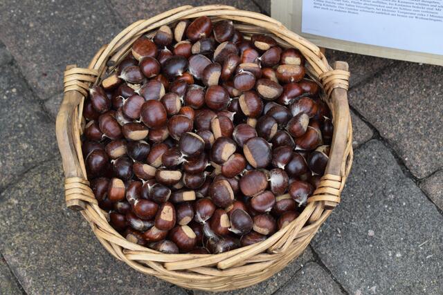 Ohne Worte :-) | Foto: Bender