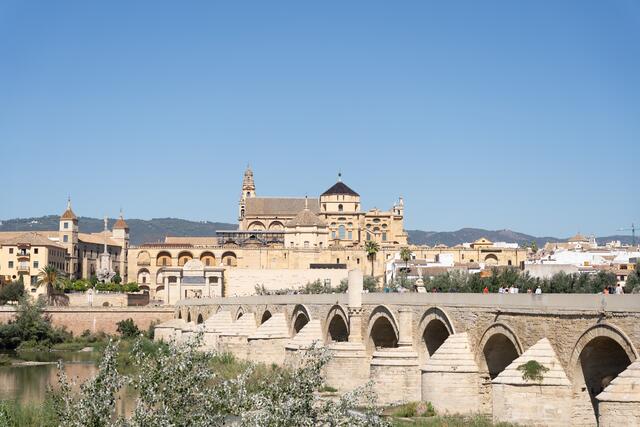 Foto: Junge Kantorei St. Martin