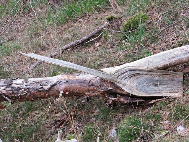 Wie eine Schaufel geformtes Holz | Foto: Brigitte Melder