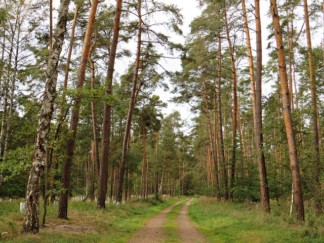 Impressionen | Foto: Brigitte Melder