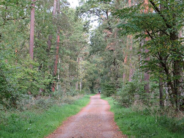 Impressionen | Foto: Brigitte Melder