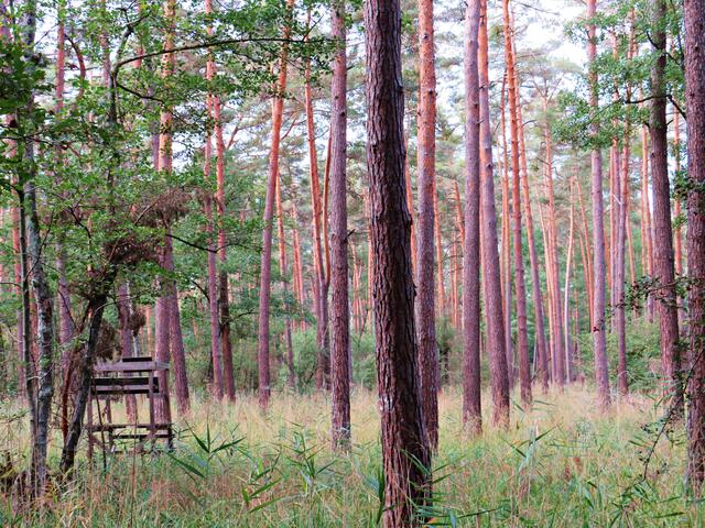 Impressionen des Hungermarsches | Foto: Brigitte Melder
