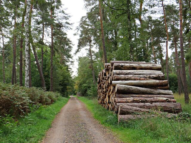 Impressionen | Foto: Brigitte Melder