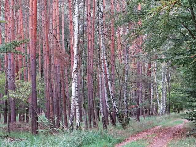 Impressionen | Foto: Brigitte Melder