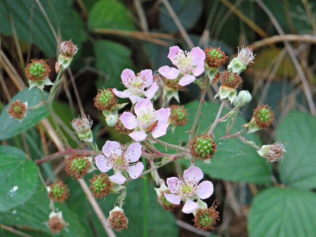 Impressionen | Foto: Brigitte Melder